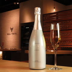 プロジェクト クワトロ・カヴァ