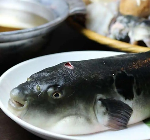 厳選素材をご賞味ください