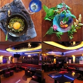 クリックするとアルノの詳細ページへ アルノの写真