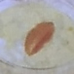 マンゴーライタ