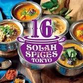 SOLAH SPICES TOKYO ソーラ スパイス トウキョウ 用賀店の詳細