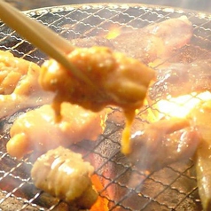 炭火焼肉ホルモン　こてつ　塚本店の写真2