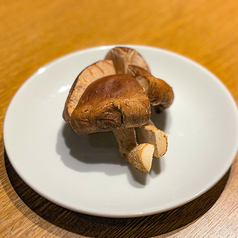 神山しいたけ