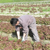 農家の方が毎日新鮮な野菜をお店に直送♪