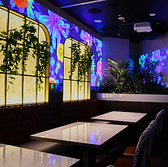 intellctuary アンテレクチュアリーの雰囲気3