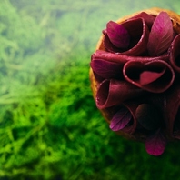 【アイデアが盛り込まれた新感覚の逸品の数々】