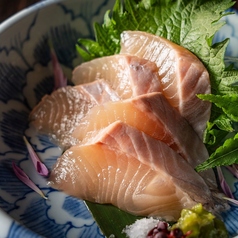 ホワイト富士山サーモン