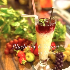 ブルーベリー&ヨーグルト