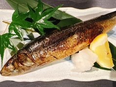 大とろ鰯の塩焼き