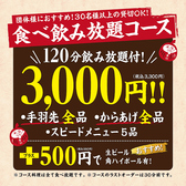 大衆酒場 手羽だるま旗の台店の詳細