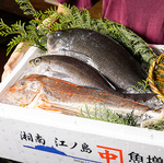全国各地から届く旬素材が満載！築地直送の鮮魚が毎日入荷！！