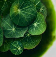 ◆食材に応じた調理方法でご提供する逸品の数々