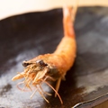料理メニュー写真 天使のエビ/ほたて