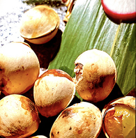 季節の旬を味わう【期間限定メニュー】