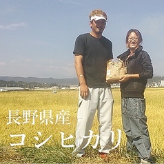 1．長野県中野市産 特別栽培米 無化学肥料「中米コシヒカリ」【生産者：三ツ和農産】