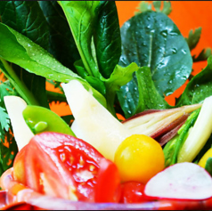 新鮮さが自慢！旬の野菜をふんだんに使用した逸品