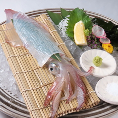 イカの活き造り＜100g＞
