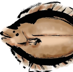 ヒラメのお造り