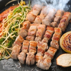 生サムギョプサルセット（1人前）