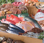 グルメな方も唸る素材にこだわった料理の数々。海鮮料理・地鶏料理・もつ鍋をはじめとする絶品和食。