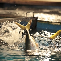 新鮮揚げたてを捌く、究極の「活魚料理」