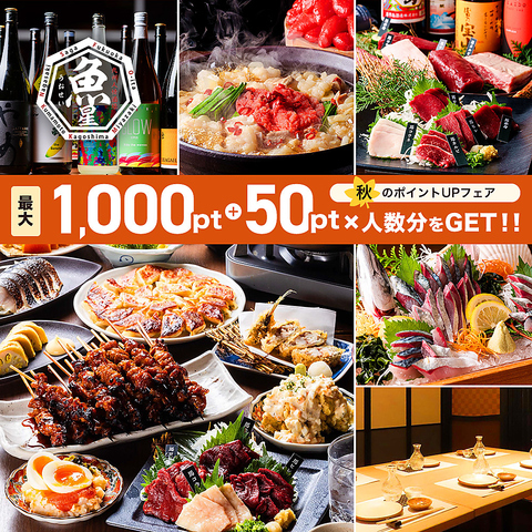 【当日OK！】飲み放題付きコース各種！ご宴会予約受付中！もつ鍋や馬刺しなど九州料理
