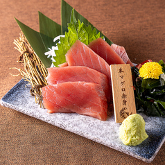 本マグロ赤身