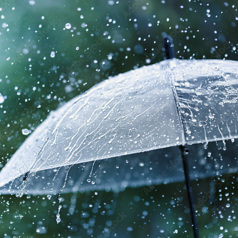 BAR SKY DANCE(バースカイダンス)のコース写真