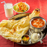 インド ネパール料理 ニュー アンナプルナ 十条店のおすすめポイント1