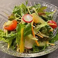 料理メニュー写真&nbsp;東京野菜　朝採れサラダ