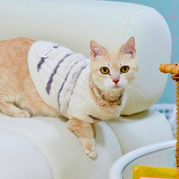 あたたかく迎えるおもてなしの心