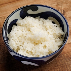 白ごはん