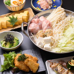 とりだるま 熊本下通店のコース写真