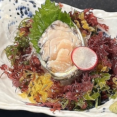 活〆あわびのお刺身