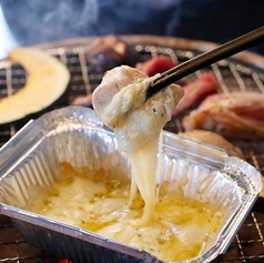 TORIMARU トリマル 成増店の特集写真