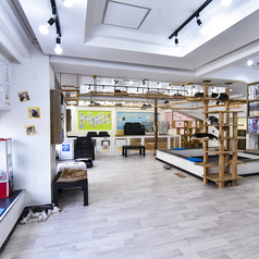 フリースペース１※～40名までご利用可能！友人とのおしゃべりや、一人でリフレッシュしたい時におすすめ◎初々しい猫ちゃんたちがお客様を温かくお迎えし、触れ合いを通じて心癒される体験を提供します。猫と遊びながら日常を忘れ、心休まるひとときをお楽しみいただけます♪