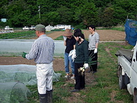 信州、地場野菜へのこだわり