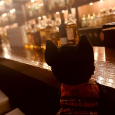 Bar Little Happiness バーリトルハピネスの雰囲気1