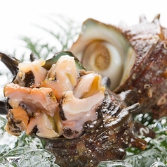 活サザエ お造り/壺焼き