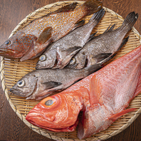 【魚のプロが厳選した新鮮な魚を使用した料理の数々！】