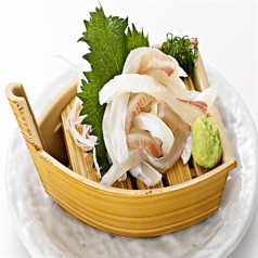 《旬の魚を味わう》[高知県産]真鯛の昆布〆刺身