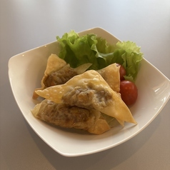 うつけカレーのサモサの写真