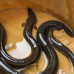 丸壱富士 赤坂のコース写真