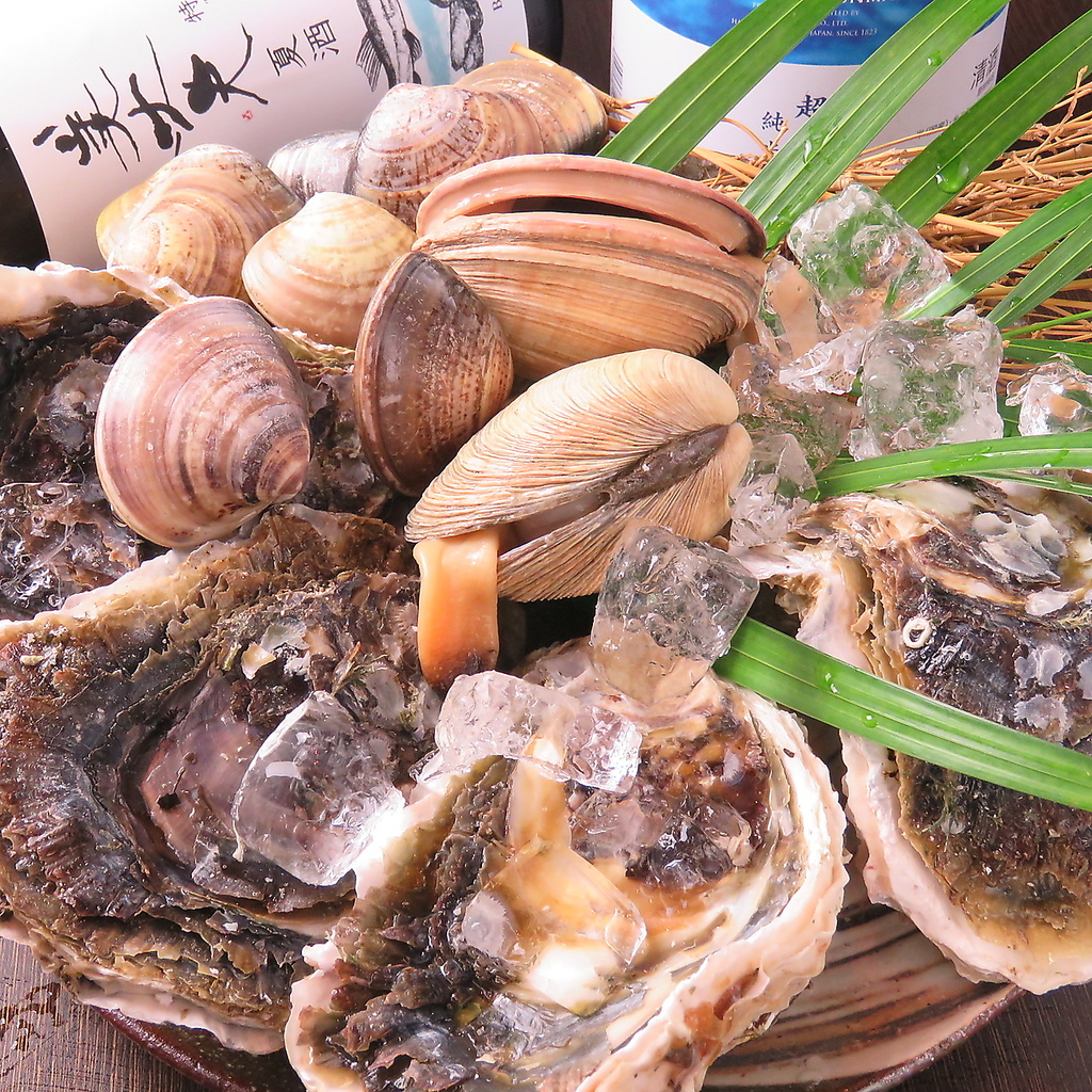 朝獲れの新鮮なお魚が◎ここにきたら魚介と日本酒で♪