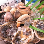 朝獲れの新鮮なお魚が◎ここにきたら魚介と日本酒で♪