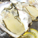 北海道厚岸産の牡蠣（3L)は直送で仕入れています。