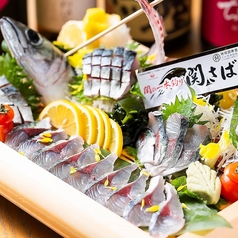 居酒屋 めじろのねじろ特集写真1