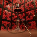 料理メニュー写真&nbsp;shisha
