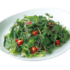 グリーンハーブサラダ