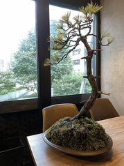 木の温もりを感じられるインテリアと優しい光の照明が心地よい空間を演出いたします。